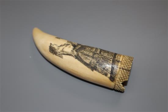 A 19th century scrimshaw sperm whale tooth,